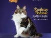 Pulo do Gato - Jun/Jul 2024