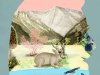 Oryx e Crake (Livro 1) - Margaret Atwood