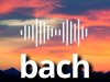 Bach (2024)