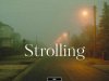 Strolling - Indie Pop - Advisory (2024)