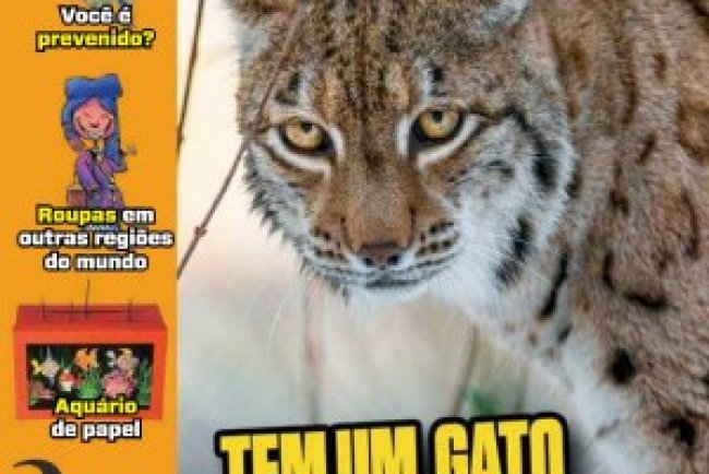 Recreio Ed. 1125 - Junho 2024