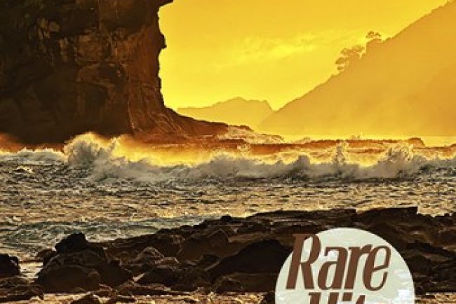 Rare Hits - Vol. 3 (2024)