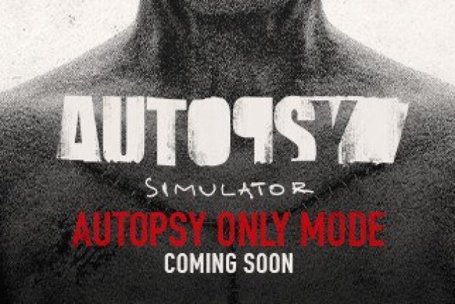Autopsy Simulator