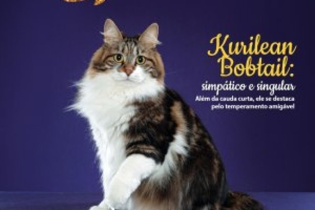 Pulo do Gato - Jun/Jul 2024