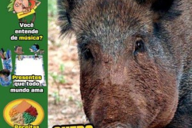 Recreio Ed. 1126 - Junho 2024