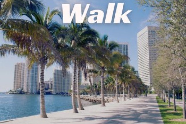 CARLIGHTS - Marina Walk (2024)