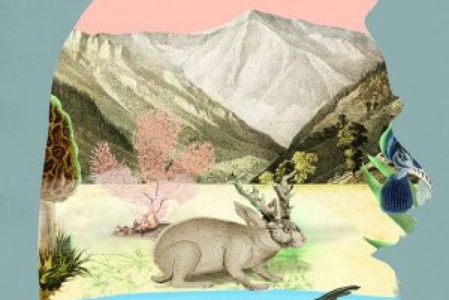 Oryx e Crake (Livro 1) - Margaret Atwood