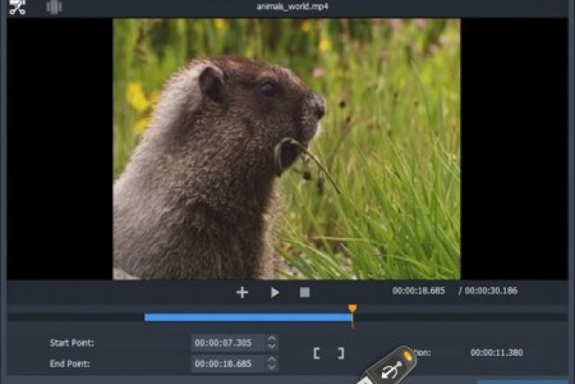 Free Video Cutter Joiner 2025 + Portable