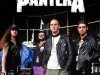 Pantera - Collection (2023)