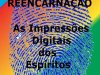 Comprovando a Reencarnação - João Fernandes da Silva Júnior