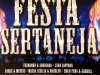 Festa Sertaneja (2010)