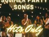 Summer Party Songs Hits Only (2024)