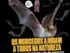 Recreio Ed. 1132 - Julho 2024