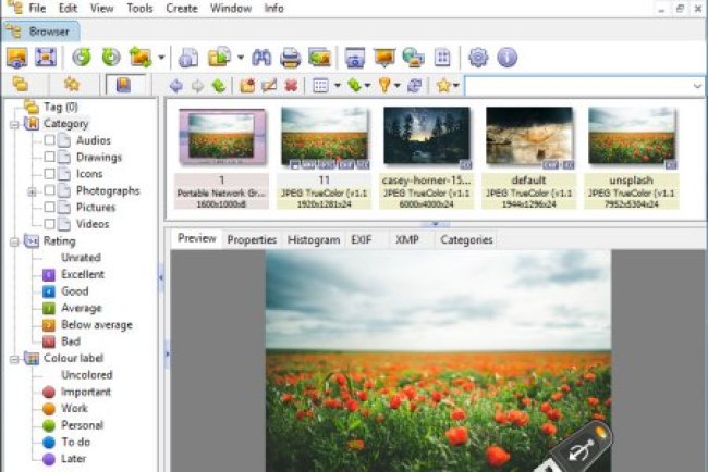 XnView Classic v2.51.6 Extended + Portable