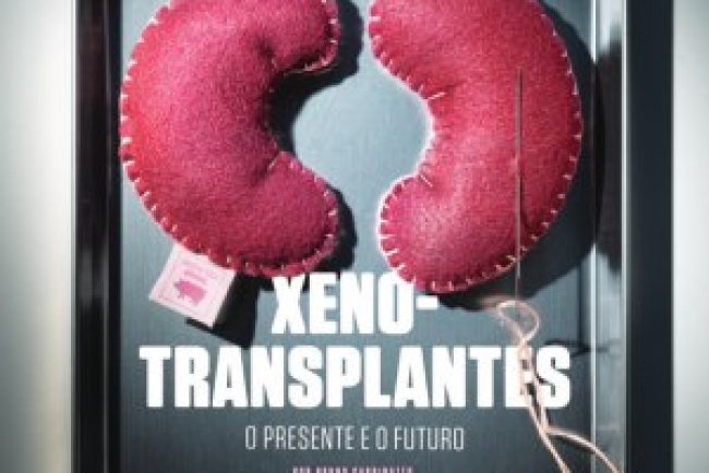 Superinteressante Ed 465 - Julho 2024