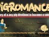 PIGROMANCE