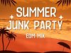 Summer Junk Party EDM Mix (2024)
