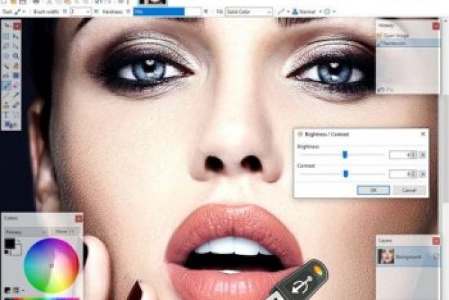 Paint.NET v5.1.8 + Portable