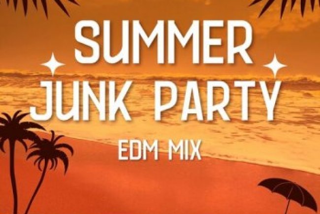 Summer Junk Party EDM Mix (2024)
