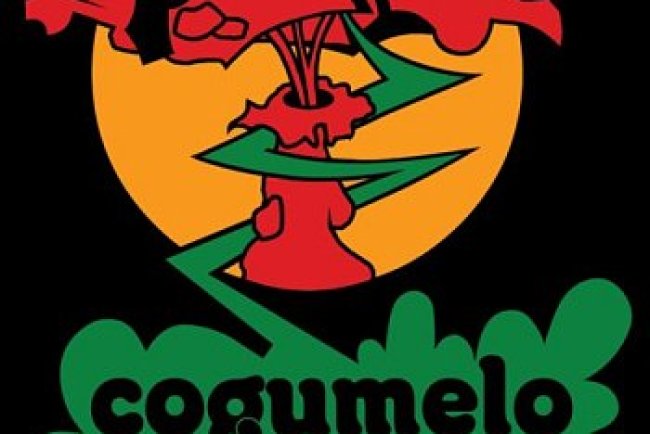 Cogumelo Records - 40 anos (2024)