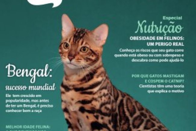 Pulo do Gato - Ago/Set 2024