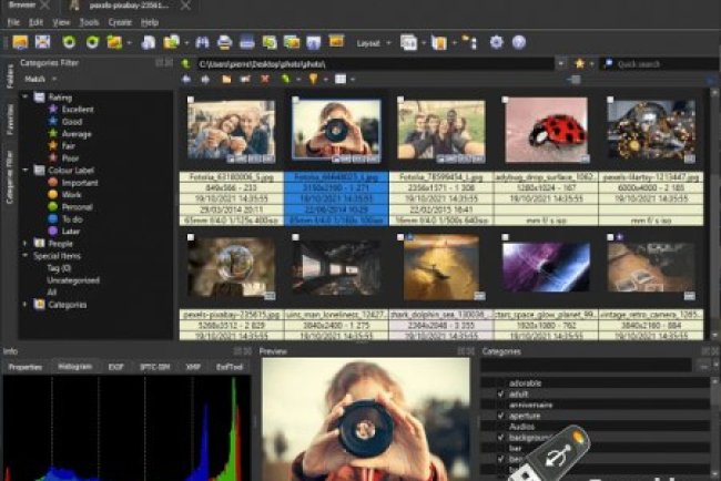 XnView MP v1.8.4 + Portable