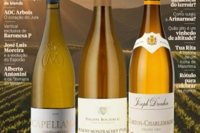 Adega Ed 227 - Setembro 2024