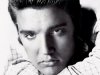 Elvis Presley - The Essential Elvis Presley [2CD] (2007)