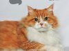 Pulo do Gato - Out/Nov 2024