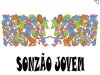 Sonzão Jovem do Pedrinho Nitroglicerina (1972)