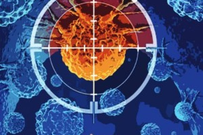 Isto é Ed 2853 - Outubro 2024