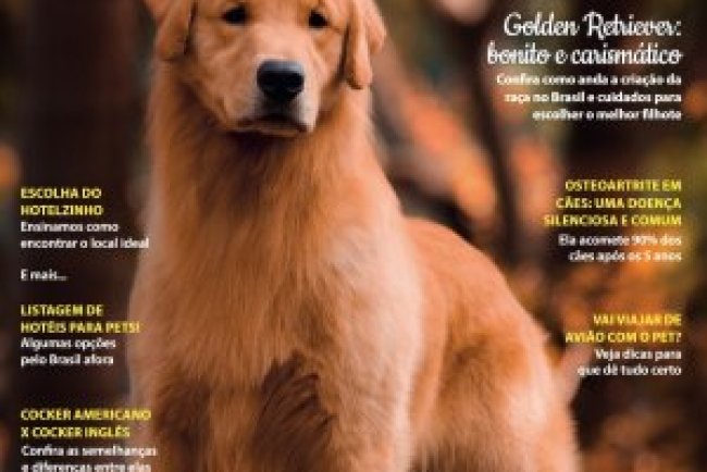 Cães & Cia - Out/Nov 2024