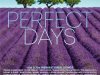 Perfect Days: 60s & 70s Inspirational Songs [3CD] (2024)