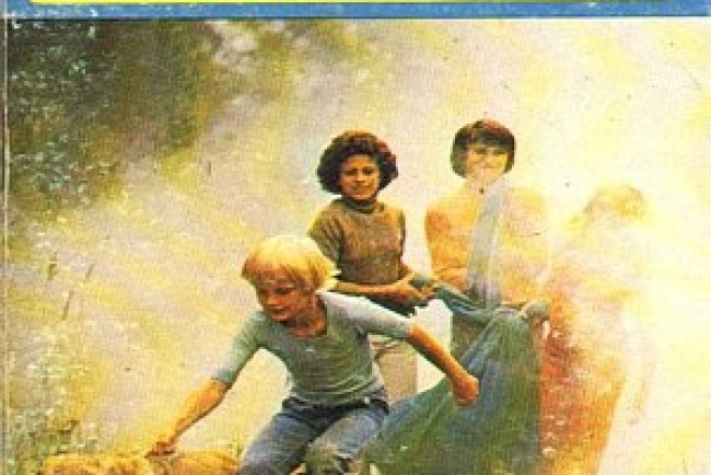 Os Cinco na Planície Misteriosa - Enid Blyton