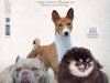 Cães & Cia - Dez 2024/Jan 2025