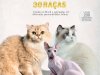 Pulo do Gato - Dez 2024/Jan 2025