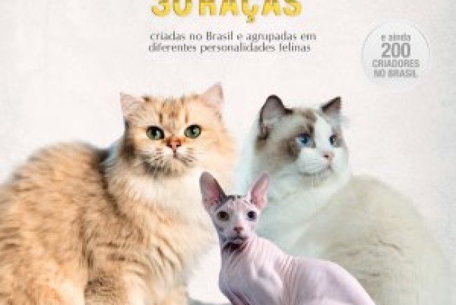 Pulo do Gato - Dez 2024/Jan 2025