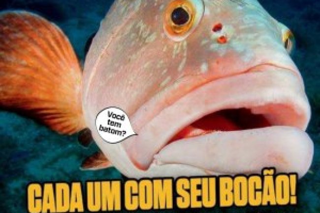 Recreio Ed. 1154 - Dezembro 2024