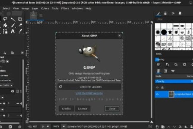 GIMP v3.0.6