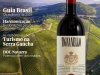 Adega Ed 231 - Janeiro 2025