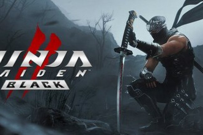 Ninja Gaiden 2 Black