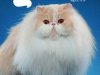 Pulo do Gato - Fev/Mar 2025