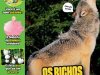 Recreio Ed. 1166 - Março 2025