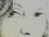 Todas as Crônicas - Clarice Lispector