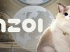 inZOI
