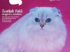 Pulo do Gato - Abr/Mai 2025