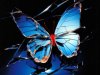 Slvmber - Fly By Night (2024)