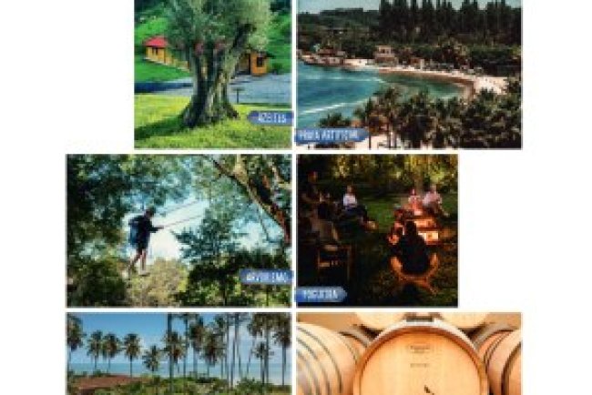 Veja São Paulo Ed 2160 - Abril 2025