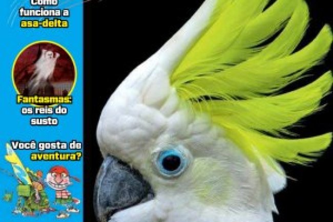 Recreio Ed. 1170 - Abril 2025