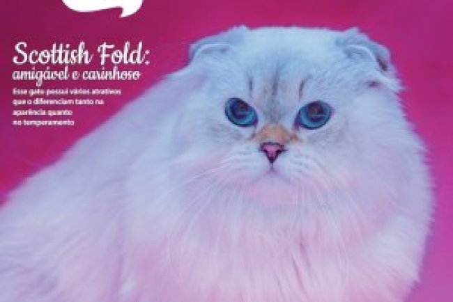 Pulo do Gato - Abr/Mai 2025